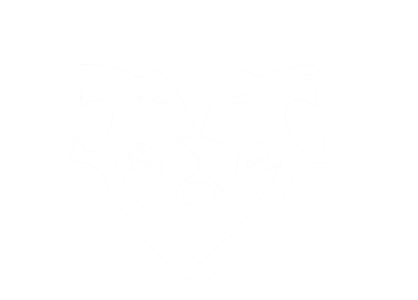 Tribus Dynamics logo